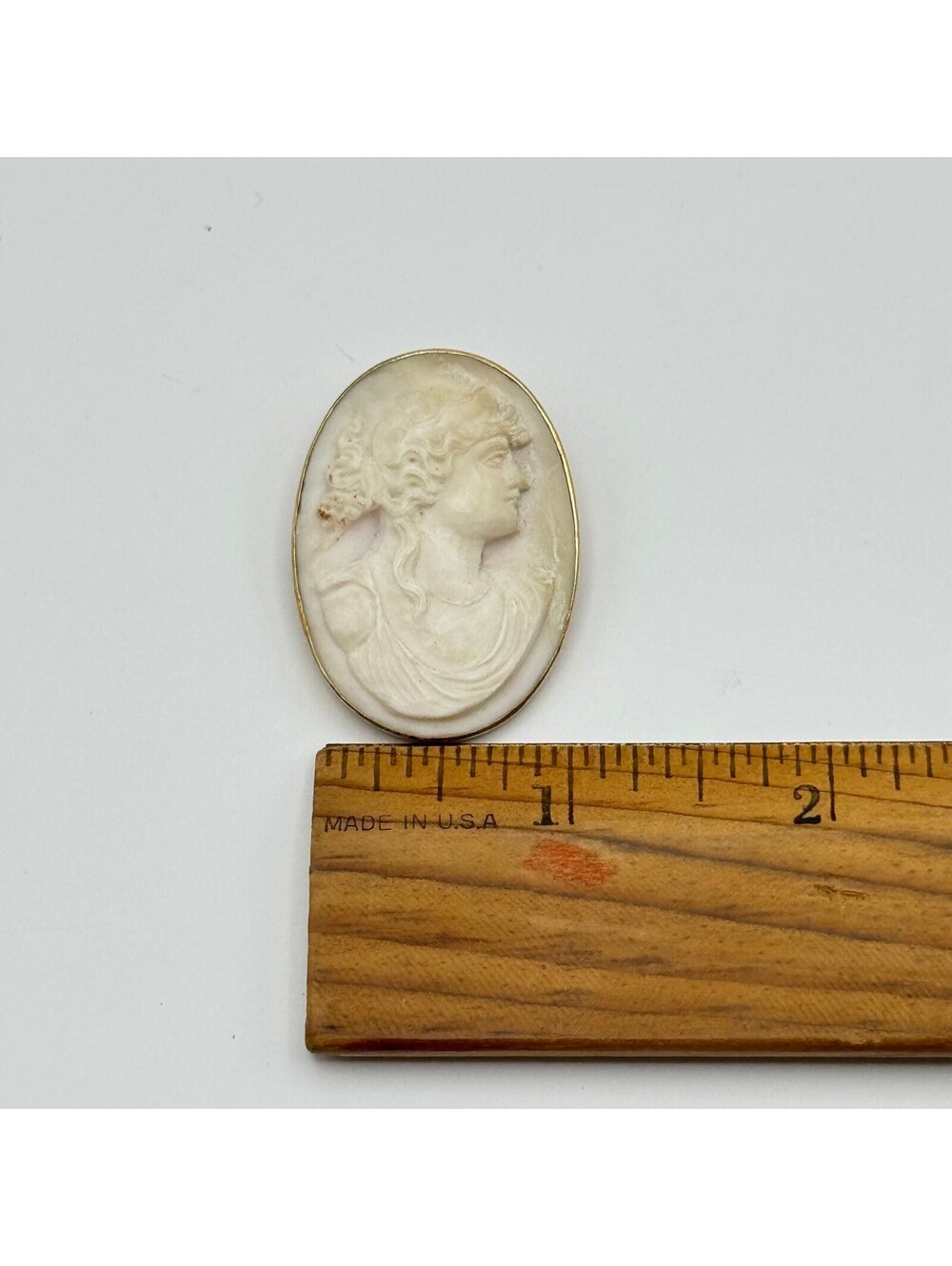 Conch, 10K Gold Cameo Brooch - Picture 5 of 5